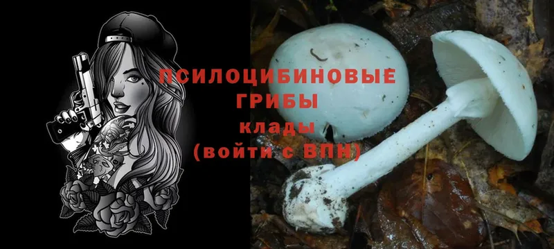 Псилоцибиновые грибы Cubensis  купить наркотик  Бакал 